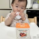 루비얌 과일 야채 아기퓨레 언제부터, 6개월에 시작한 맛있는 사과 바나나 고구마 단호박 후기