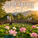 🌿 양평 세미원, 아이와 가족 나들이 + 연인 데이트까지 한 번에! 사계절 힐링 명소 완벽 가이드