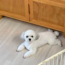 개스토랑 이미지