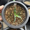 서반농장 이미지