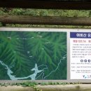 어비숲민박 이미지