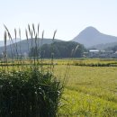 강인이발관 네이버블로그