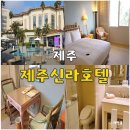 엔파제주호텔 | 제주 신라호텔 디럭스 더블룸 예약 및 솔직 후기 숙소 추천