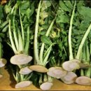 더휴한의원 이미지