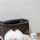 지*기