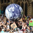 화석 2002 이미지