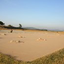 왕궁리유적 이미지