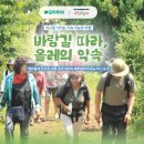 제주올레 이미지