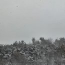 못난이꽈배기 소룡점 이미지