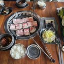 다다쌈밥 | 동해시 점심 추천! '다다쌈밥' 냉동삼겹살로 든든하게 채운 가성비 최고의 하루