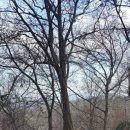 120.산림욕장_1 이미지