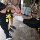 태선목장 네이버블로그