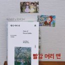 빨강머리 | 빨강머리앤 명대사, 책 줄거리 및 감상