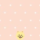 (주)컴퍼니와우