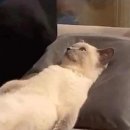 혜민카 이미지
