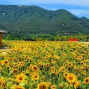낙동강체육공원 축구장 화장실 이미지