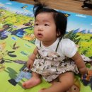 또래(어울림)어린이집 이미지