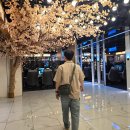 롤스터PC방 이미지