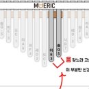 칼림바 이미지