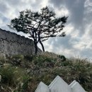 화서공원 | 수원 화서공원 방문 후기: 고즈넉함 속 완벽한 힐링 스팟