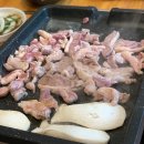 순이 삼오가든 | 대구용연사맛집 송해공원근처 점심 순이삼오가든 오리고기