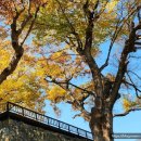 신원양지마을 이미지