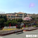동물의 정원 | [세종] - 베어트리 파크 시어머님과 아기와 함께한 힐링 나들이🌿 동물+정원 산책 후기
