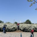 (주)올더웨이 이미지