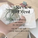 피오디스튜디오 | 동남지구 속눈썹펌 잘하는곳 피오디스튜디오