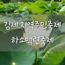 김제축제 하소백련축제 지역주민축제 다녀온 후기