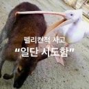 능소화의 계절