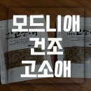 모드니애곤충농장 / 식용밀웜 / 고단백간식 / 고소애 후기