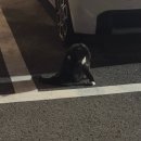 상경농장 | September 9월 九月