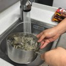 삼칭이해안길 | 통영여행]통영금호마리나, 통영중앙시장맛집, 통영동피랑동백꽃, 멍게하우스꿀빵, 삼칭이해안길 자전거산책