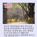 샬롬 이미지