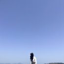 매미면가