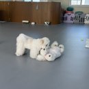 아이멍그라운드 이미지