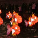 이쁘니노래광장 | 청계천 빛초롱축제 포켓몬 잉어킹 시간 및 일정, 가는법 후기
