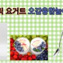 그린빌창의어린이집 이미지