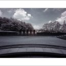 걸포중앙공원 이미지