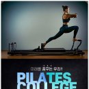 바우 필라앤피티 이미지