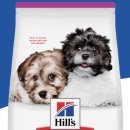 PUPPY HILL'S 이미지
