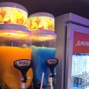 토토로테마존청소년게임장 | 점핑배틀홍대점 - 홍대액티비티, 어른이 이색놀거리, 실내데이트 추천! 대형방, 이지단계 후기