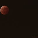 레드문(Red Moon) 이미지