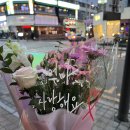 도희플라워 이미지