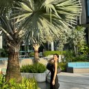 디 TOP 호텔 이미지