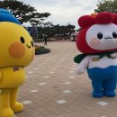 태안군청소년수련관 | [충남/태안] 태안 국제 원예치유 박람회 꽃구경, 입장료 등 솔직후기