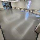 왈왈애견 이미지