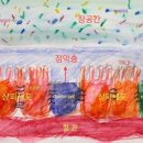 호랑이한의원 이미지