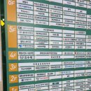정글비위례 | 네살 아이랑 보드게임방 정글비 위례신도시점(4세 5세 보드게임 추천)